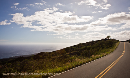 Car Rental Maui Haleakala