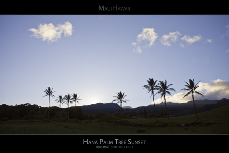 Maui Hawaii Sunset Posters
