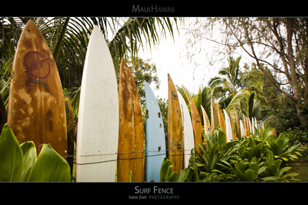Maui Hawaii Surf Poster
