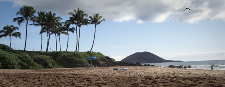 Maui Hi Facts Makena Beach