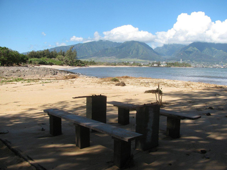 Maui Tsunami Pictures Kanaha Beach Picnic Table