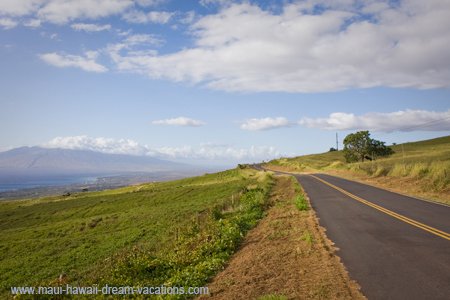 Maui Car Rental Kula Road 2