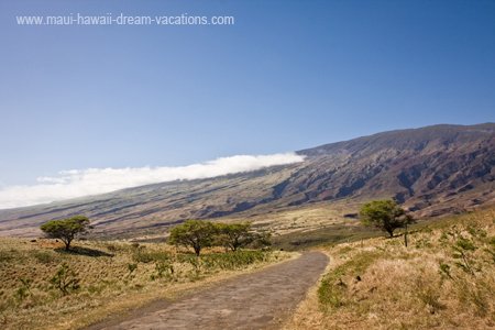 Maui Car Rental Southeast Dirt Road 5
