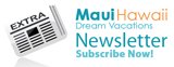 Maui Hawaii Newsletter Icon