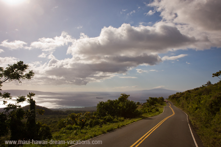 Maui Rental Cars Kula Road